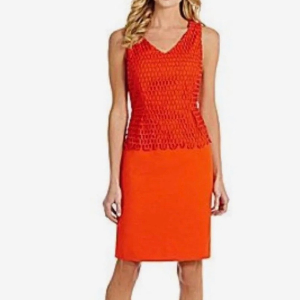 Antonio Melani Dress